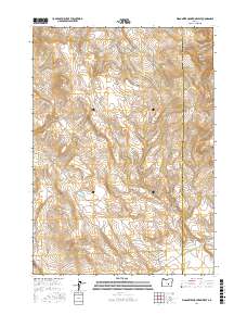 Wagontire Mountain West 2017 topographic map thumbnail