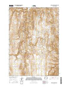 Wall Rock Springs 2017 topographic map thumbnail