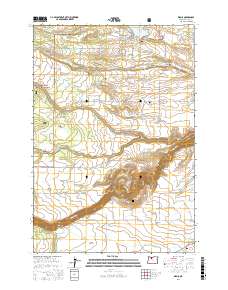 Wamic 2017 topographic map thumbnail