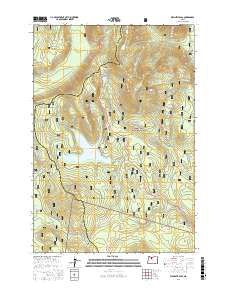 Wapinitia Pass 2017 topographic map preview