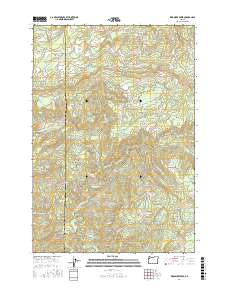 Warnicke Creek 2017 topographic map thumbnail