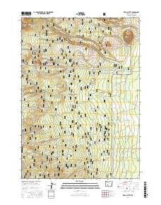 Welch Butte 2017 topographic map thumbnail