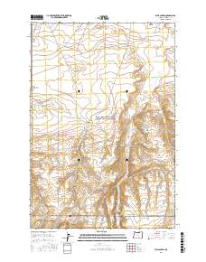 Well Spring 2017 topographic map thumbnail