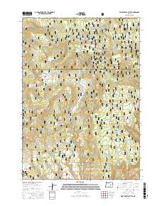 West Myrtle Butte 2017 topographic map thumbnail