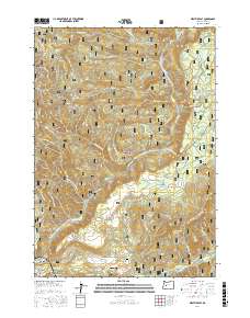 Westfir East 2017 topographic map thumbnail
