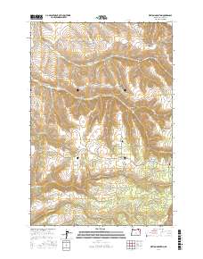 Weston Mountain 2017 topographic map thumbnail