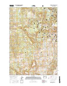 Wheeler Point 2017 topographic map thumbnail