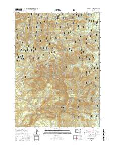 Whetstone Point 2017 topographic map thumbnail