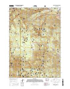 Wickiup Spring 2017 topographic map thumbnail