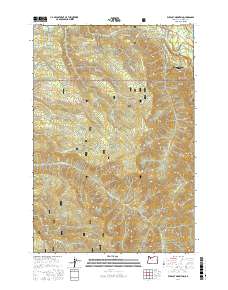 Wildcat Mountain 2017 topographic map thumbnail