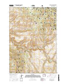 Wildcat Point 2017 topographic map thumbnail