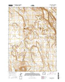 Wilson Butte 2017 topographic map thumbnail