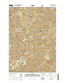 Windy Peak 2017 topographic map thumbnail