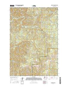 Woods Point 2017 topographic map thumbnail