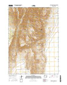 Alvord Hot Springs 2017 topographic map thumbnail
