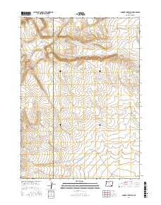 Ancient Lake Well 2017 topographic map thumbnail