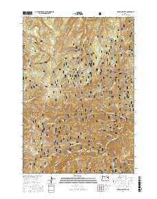 Anthony Butte 2017 topographic map thumbnail