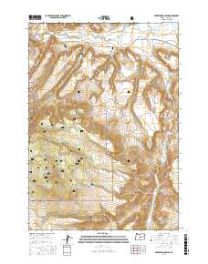 Arrowwood Point 2017 topographic map thumbnail
