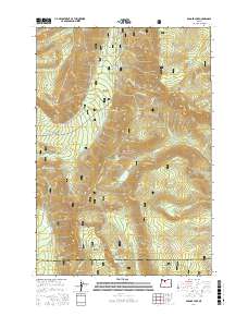 Badger Lake 2017 topographic map thumbnail