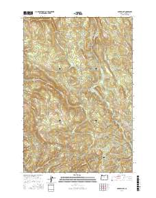 Baker Point 2017 topographic map thumbnail