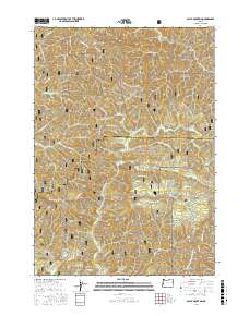 Baldy Mountain 2017 topographic map thumbnail