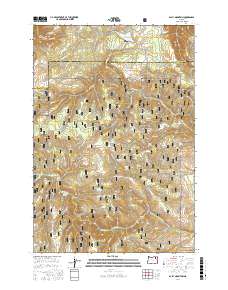 Bally Mountain 2017 topographic map thumbnail