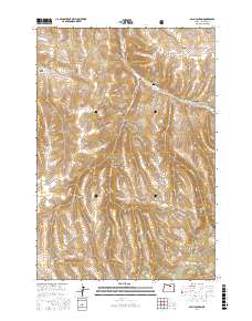 Balm Canyon 2017 topographic map thumbnail