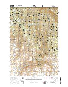 Balm Creek Reservoir 2017 topographic map thumbnail
