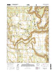 Barnes Valley 2017 topographic map thumbnail