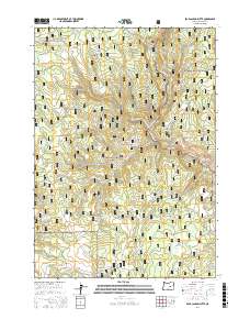 Bear Canyon Butte 2017 topographic map thumbnail
