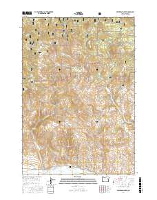 Beaverdam Creek 2017 topographic map thumbnail