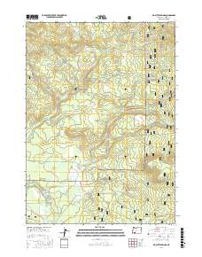 Big Butte Springs 2017 topographic map thumbnail