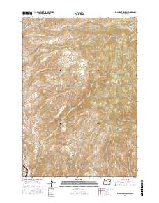 Big Lookout Mountain 2017 topographic map thumbnail