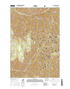 Big Meadows 2017 topographic map thumbnail
