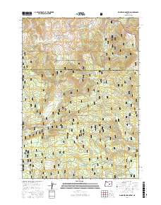 Big Mowich Mountain 2017 topographic map thumbnail