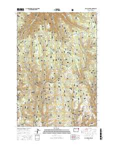 Billy Meadows 2017 topographic map thumbnail