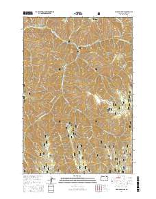 Bingham Springs 2017 topographic map thumbnail