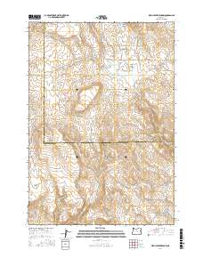 Birch Creek Meadow 2017 topographic map thumbnail