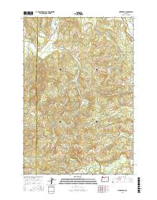 Birkenfeld 2017 topographic map thumbnail