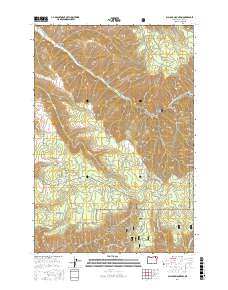 Blalock Mountain 2017 topographic map thumbnail