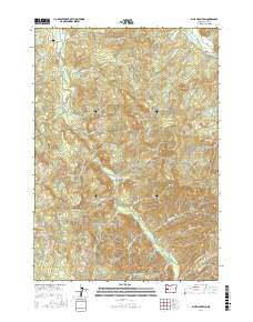 Blue Mountain 2017 topographic map thumbnail