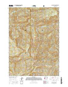 Bone Mountain 2017 topographic map thumbnail
