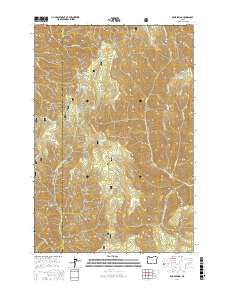 Bone Spring 2017 topographic map thumbnail
