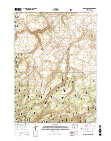 Bridge Creek Draw 2017 topographic map thumbnail