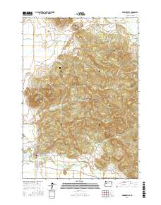 Brownsville 2017 topographic map thumbnail