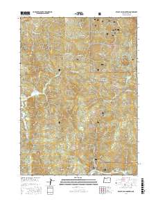 Brushy Bald Mountain 2017 topographic map thumbnail