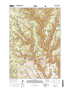 Buck Spring 2017 topographic map preview