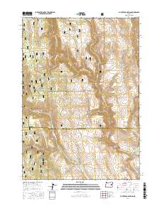 Buck Trough Spring 2017 topographic map thumbnail