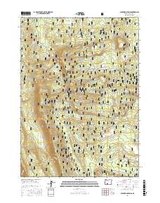 Buckhorn Springs 2017 topographic map thumbnail