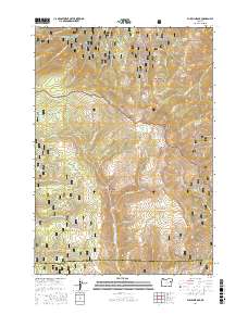 Bullrun Rock 2017 topographic map thumbnail